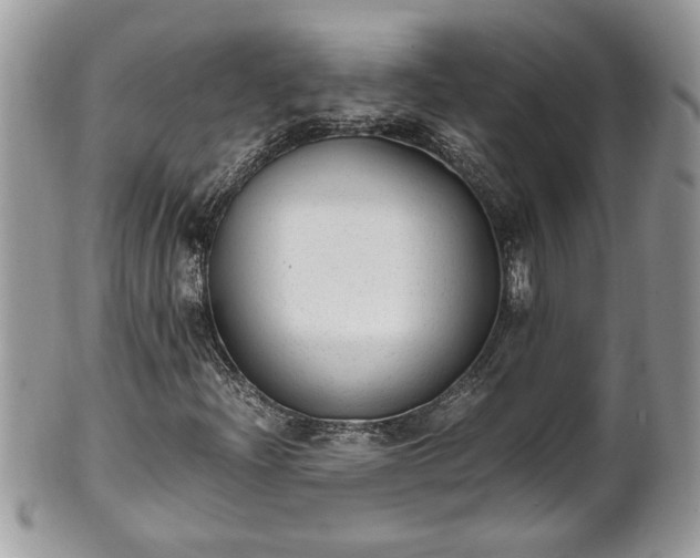 X0000101191204200807071306
