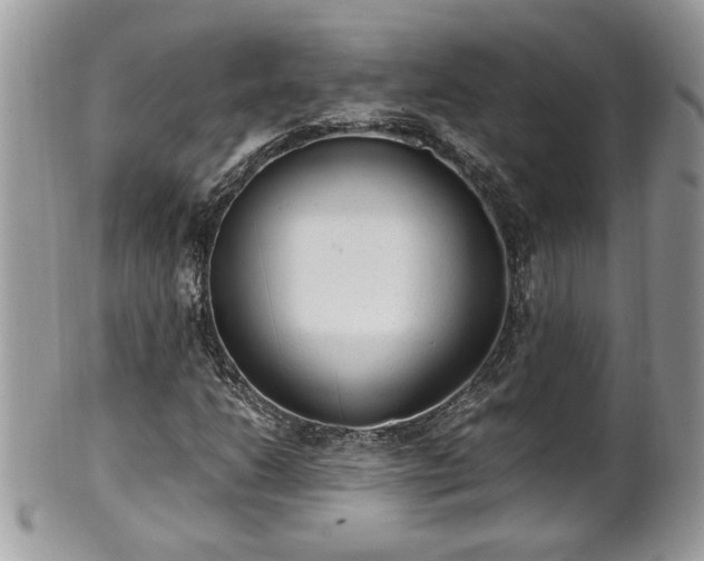 X0000101191206200807071306