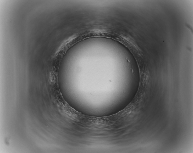 X0000101191207200807071306