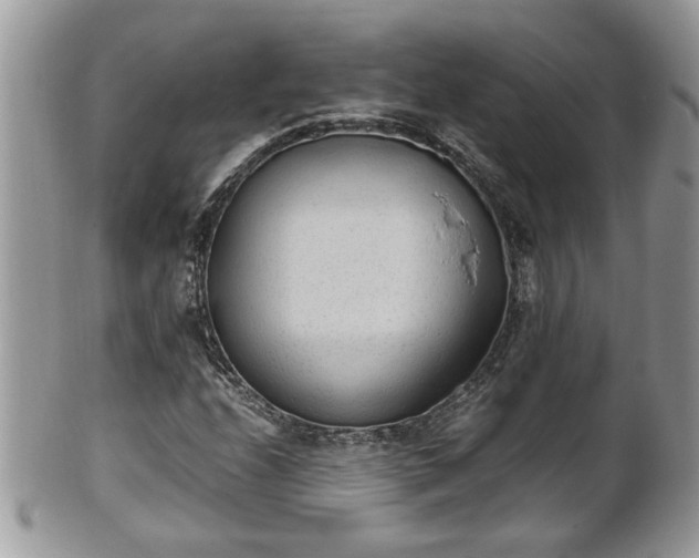 X0000101191208200807071306