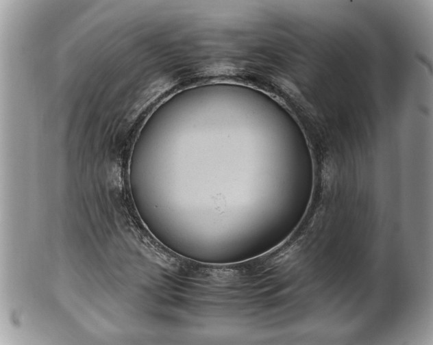 X0000101191209200807071306