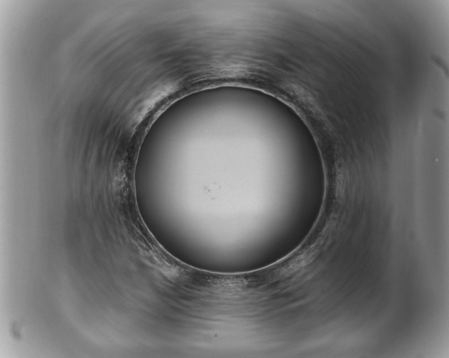 X0000101191210200807071306