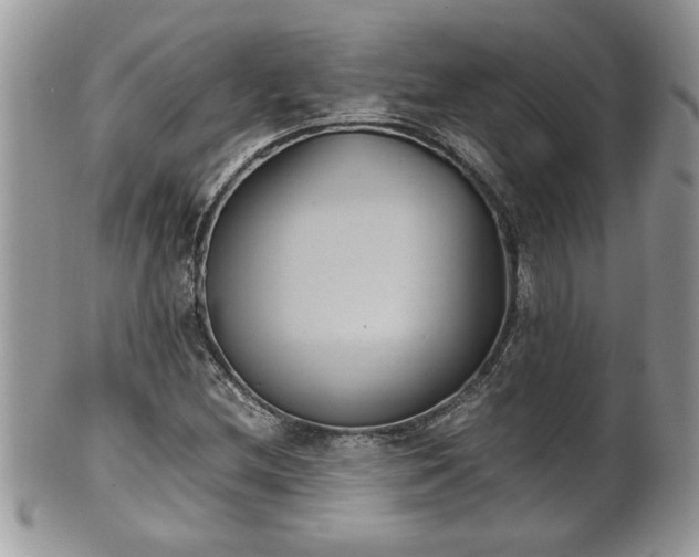 X0000101191212200807071306