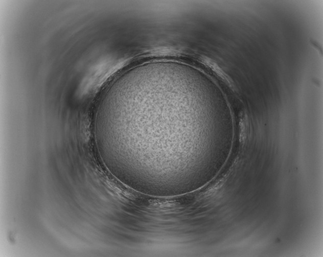 X0000101191213200807071306