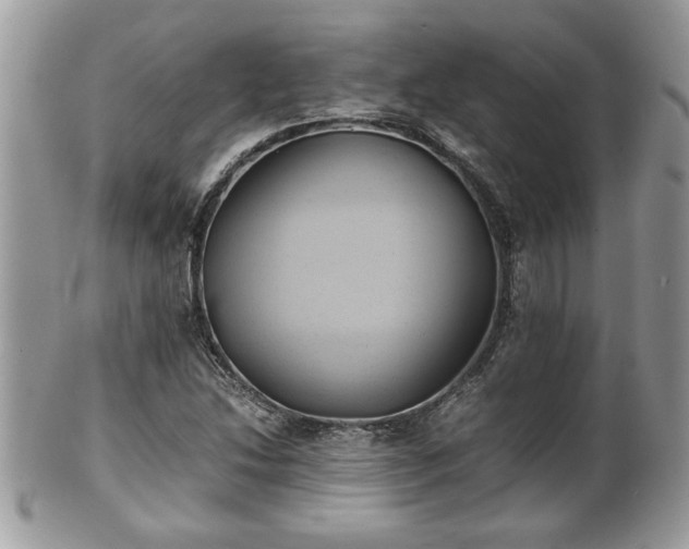 X0000101191214200807071306