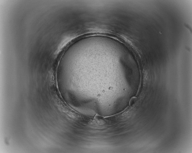 X0000101191215200807071306