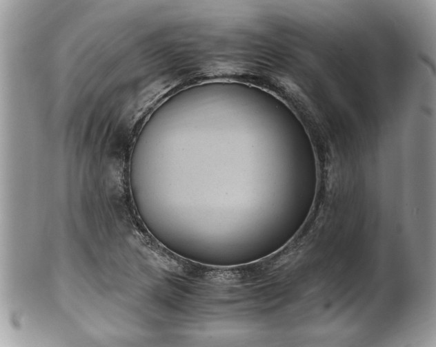 X0000101191217200807071306