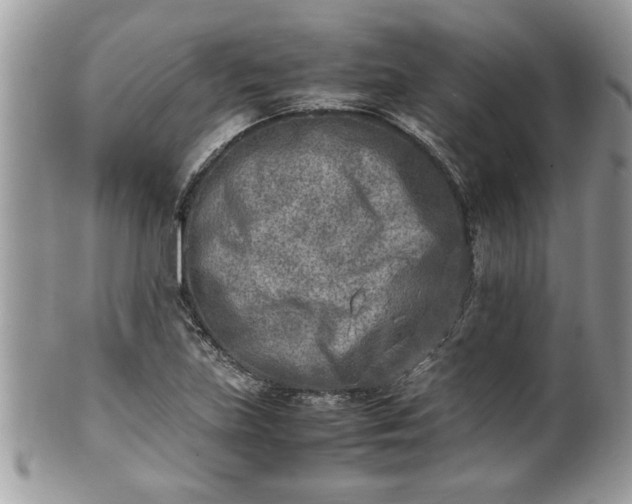 X0000101191219200807071306