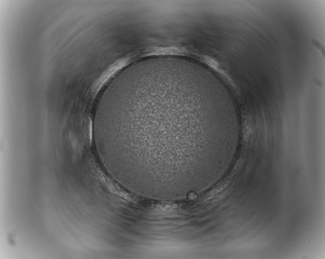 X0000101191221200807071306