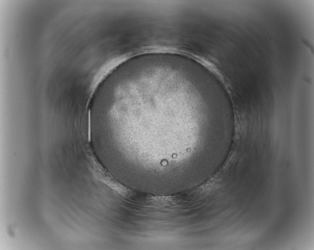 X0000101191223200807071306