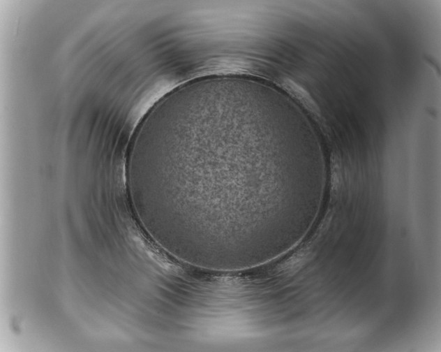 X0000101191226200807071306