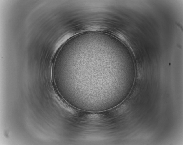 X0000101191227200807071307