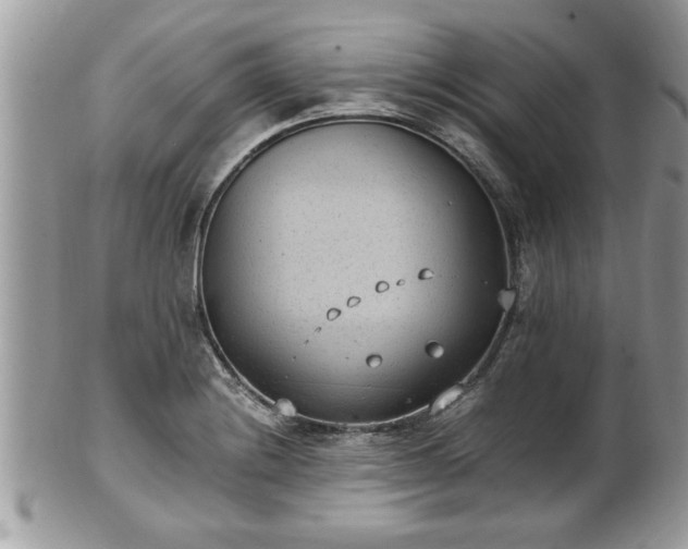 X0000101191228200807071307