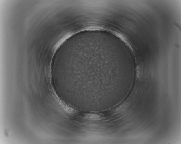 X0000101191229200807071307
