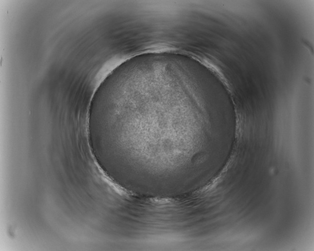 X0000101191231200807071307