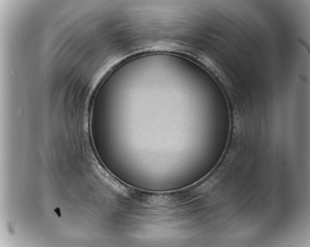 X0000101191232200807071307