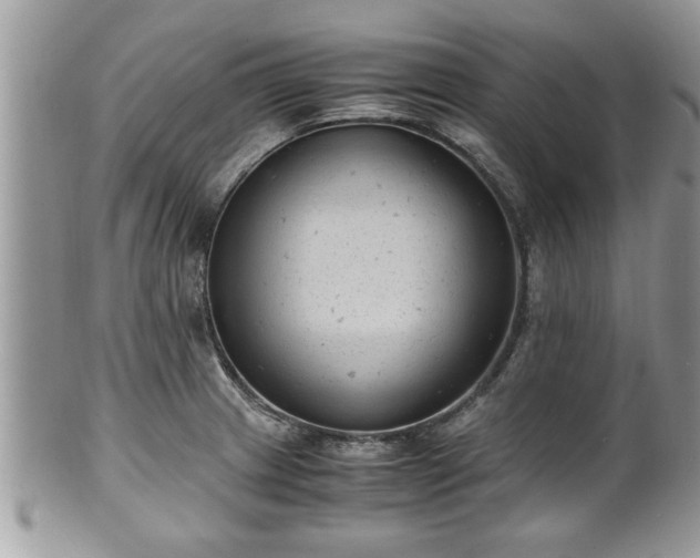 X0000101191233200807071307