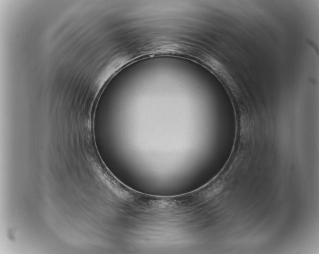 X0000101191234200807071307