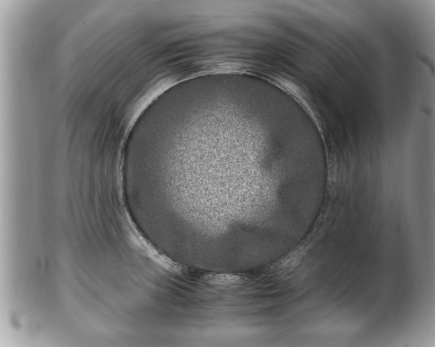 X0000101191235200807071307