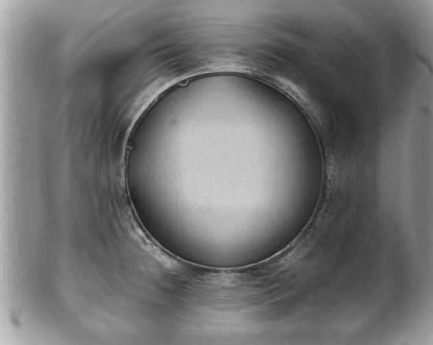 X0000101191236200807071307