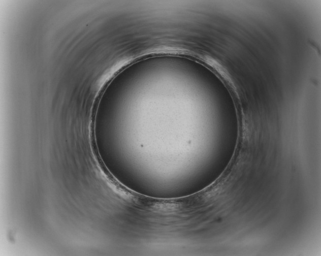 X0000101191237200807071307