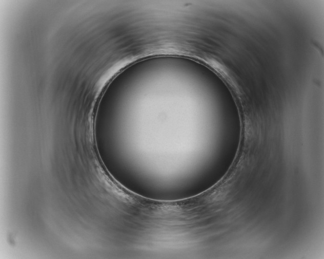 X0000101191238200807071307