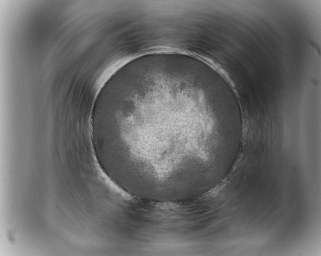 X0000101191239200807071307