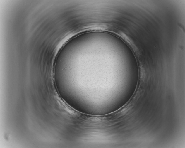 X0000101191240200807071307