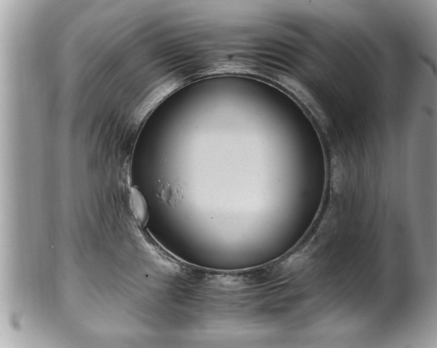 X0000101191241200807071307