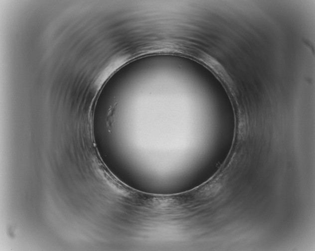 X0000101191242200807071307