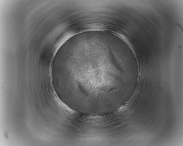 X0000101191243200807071307