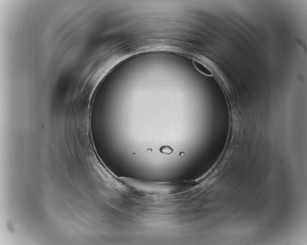 X0000101191244200807071307