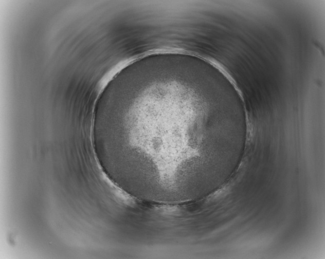 X0000101191245200807071307