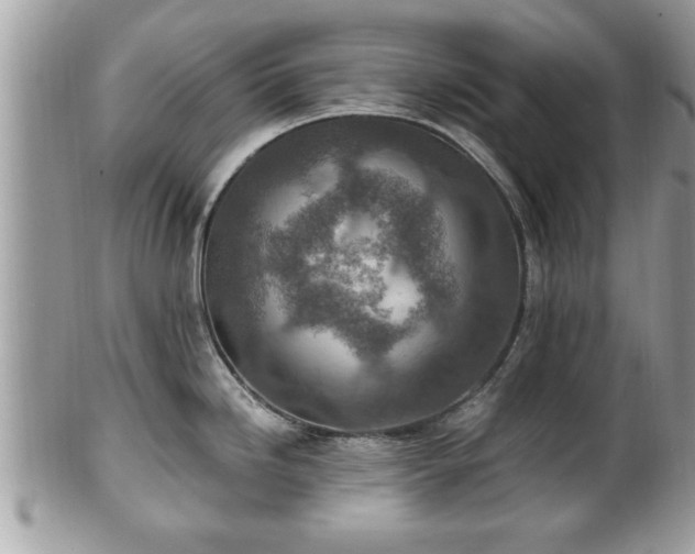 X0000101191246200807071307