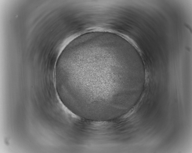 X0000101191247200807071307