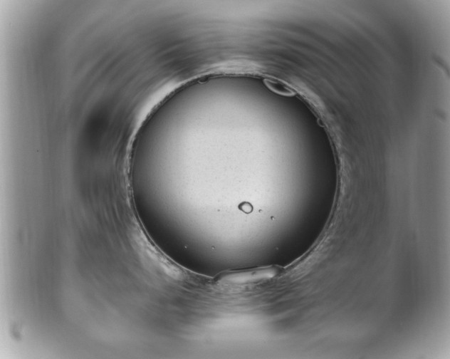 X0000101191248200807071307