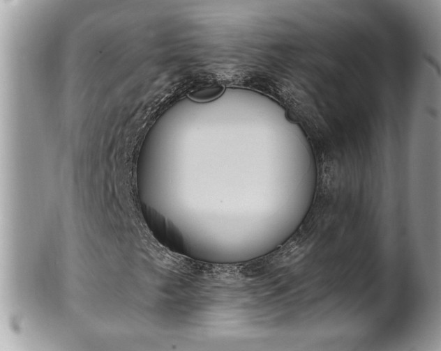 X0000101191249200807071306
