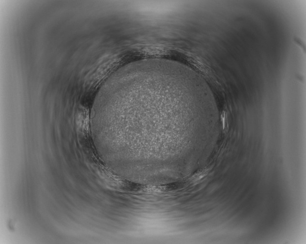 X0000101191251200807071306