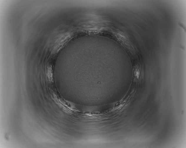 X0000101191252200807071306