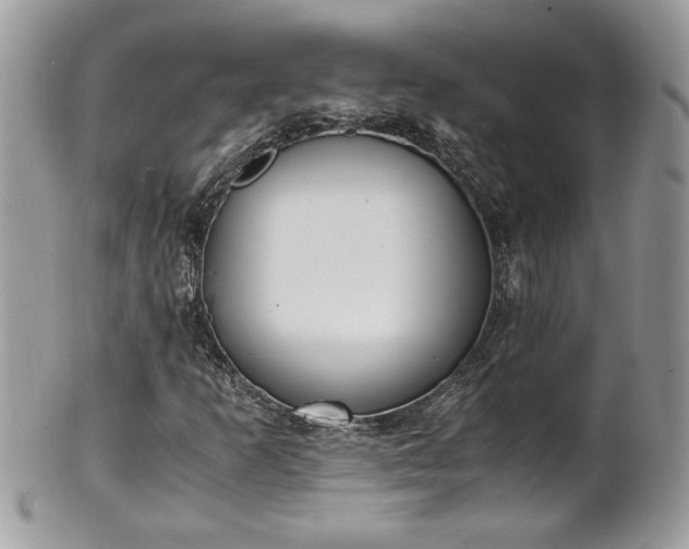 X0000101191253200807071306