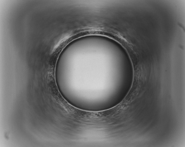 X0000101191255200807071306