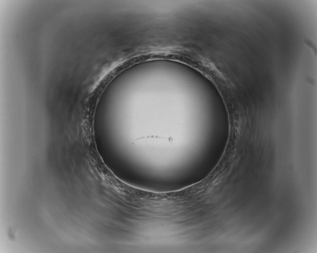 X0000101191256200807071306