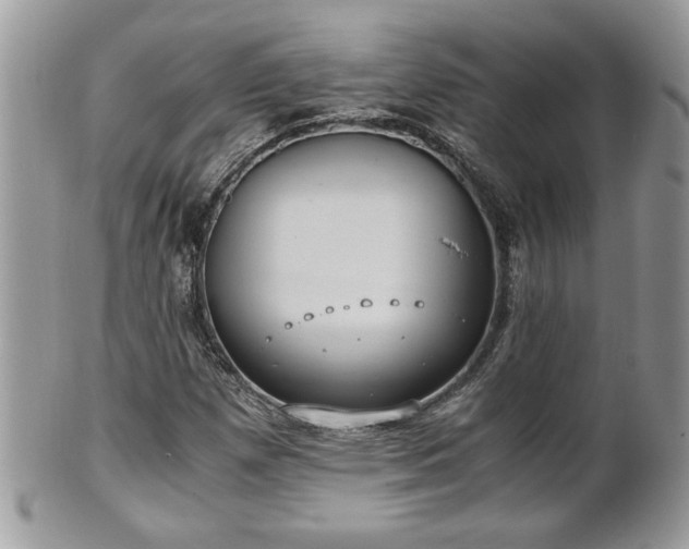 X0000101191257200807071306