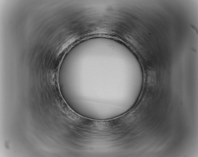 X0000101191258200807071306