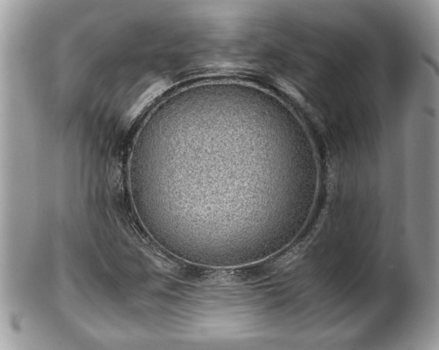 X0000101191259200807071306