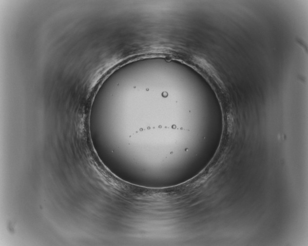 X0000101191260200807071306