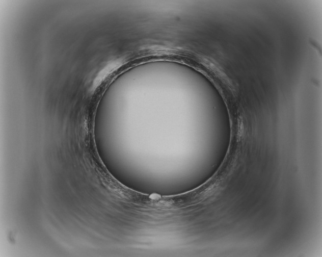 X0000101191261200807071306