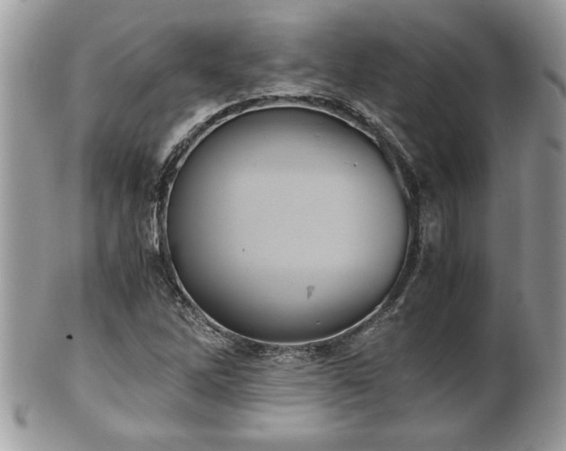 X0000101191262200807071306