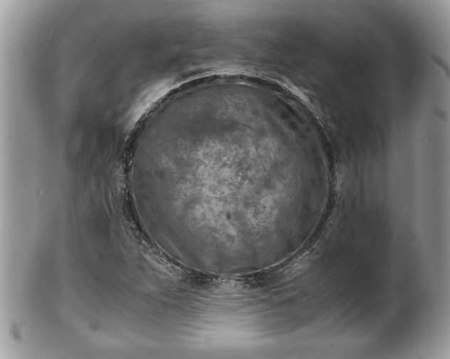 X0000101191263200807071306