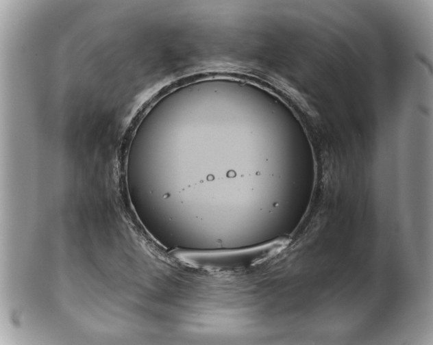 X0000101191264200807071306